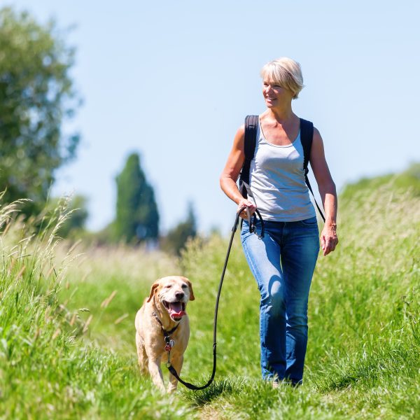 what to do if off leash dog approaches you